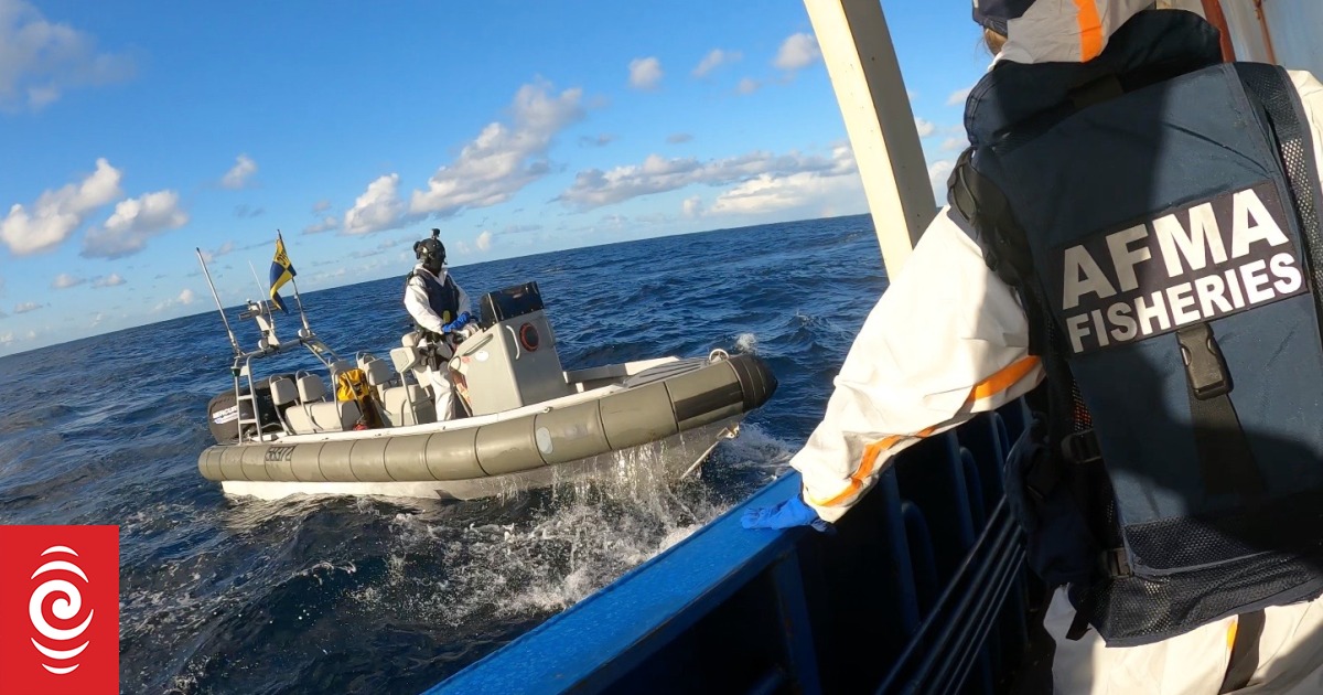 Starboard Maritime Intelligence attracts weighty backers for expansion plans - Vimarsana News