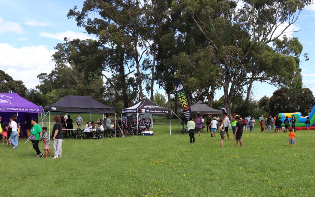 The whānau-ki-te-whānau whānau day at Atkinson Park in Mangapapa, Gisborne.