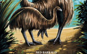 What Happened to the Moa