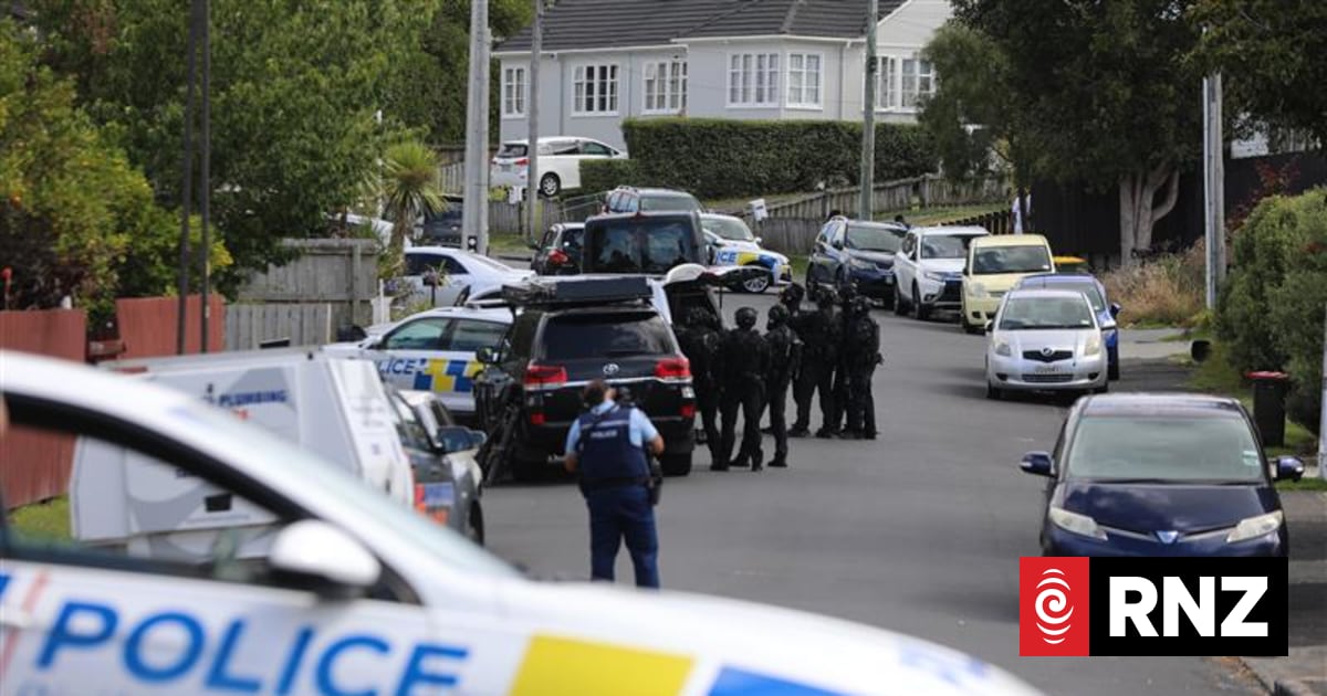 Man arrested after armed police surround home in Waterview, Auckland | RNZ