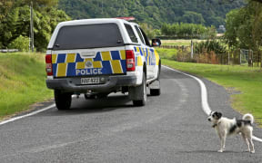 Rural police in Anaura Bay, Gisborne.
