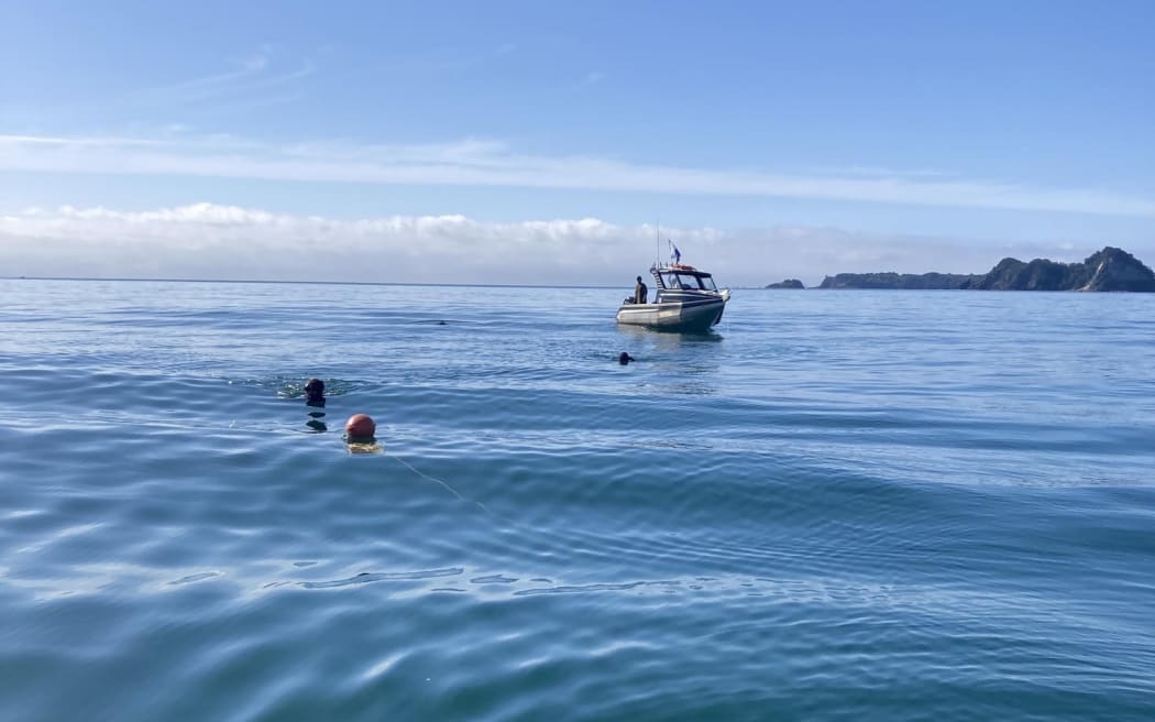 Divers assess a sunken vessel at Mercury Bay in the Coromandal.