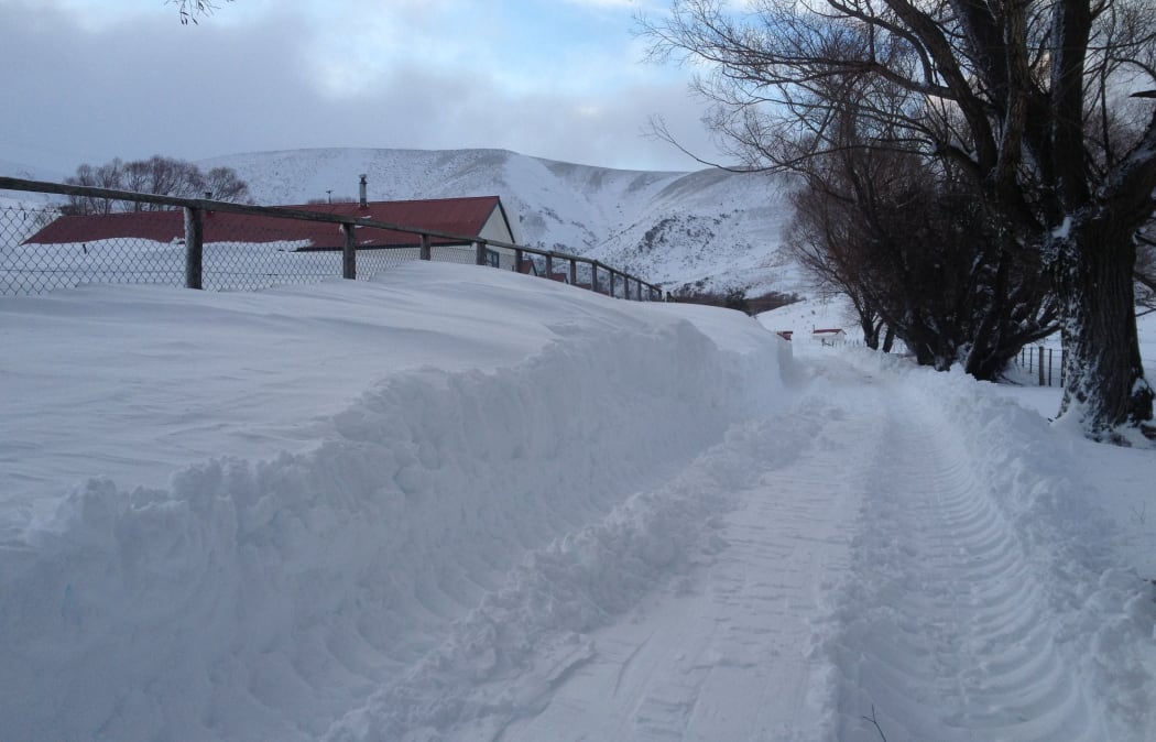Molesworth Station in Marlborough.