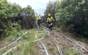 Firefighters have put out a bush fire on Wellington's Mount Cook. 28 November 2024.