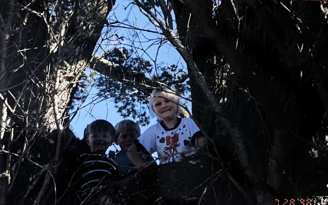 Ballance Street resident Kirsty Porter's children grew up playing in the pōhutukawa.