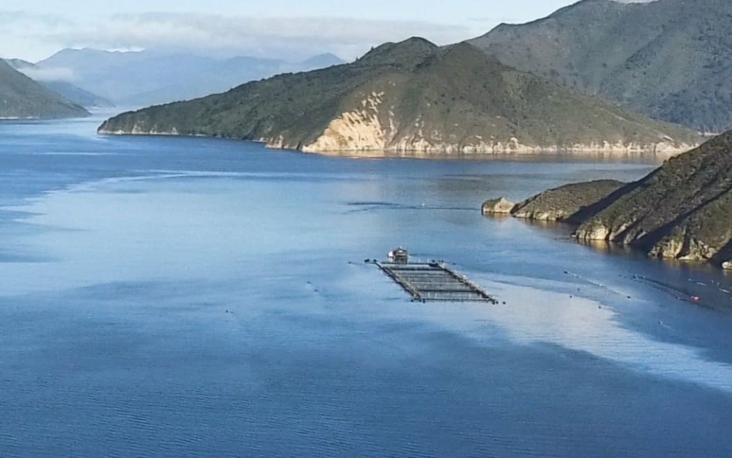 02032018 News photo supplied NZ King Salmon new high flow Waitata farm in Pelorus Sound Marlborough