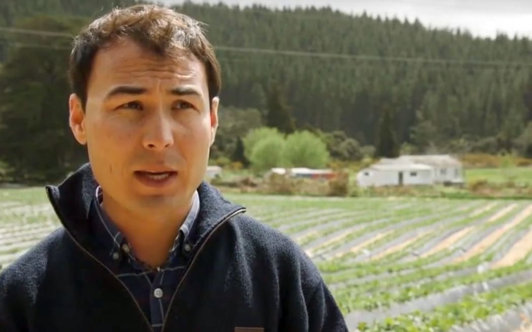 Strawberry grower Boman