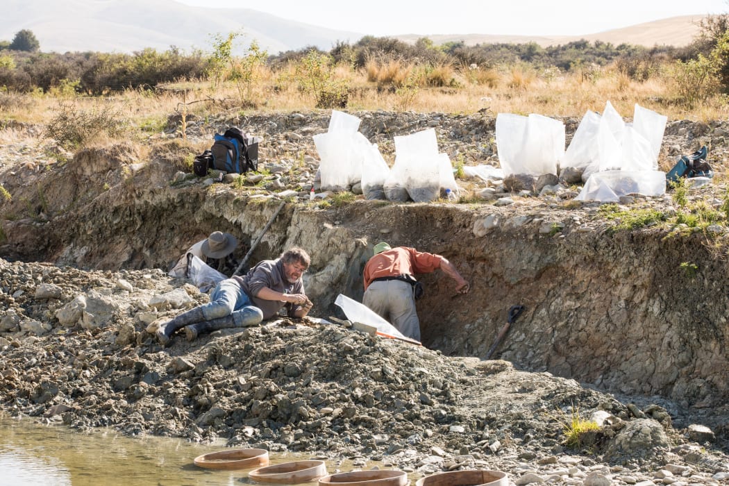 Paleontologists working at the St Bathans dig site