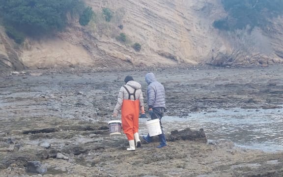 People with buckets by the rock pools at Army Bay.