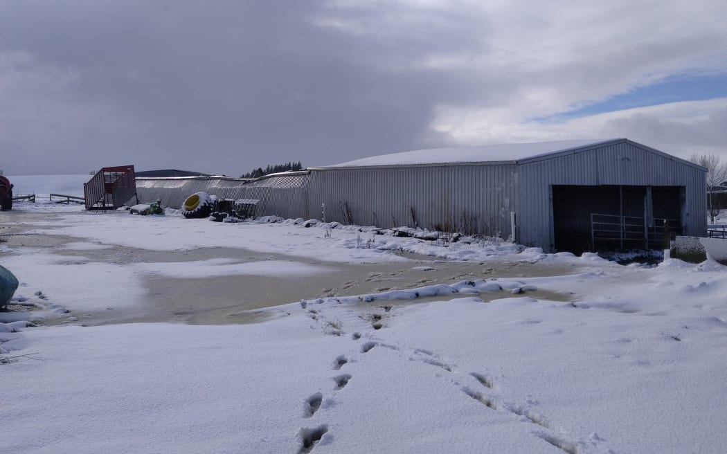 Snowfall has caused damage to the wintering barn at Bruce Eade's farm in Tapanui, Southland.