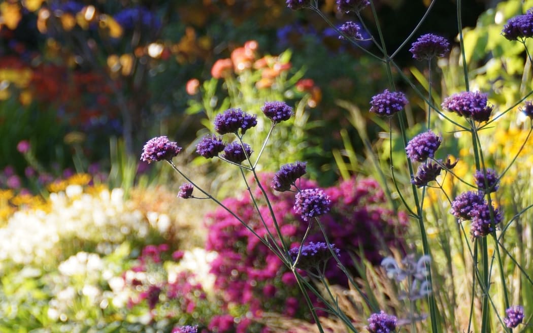 The Hurunui Garden Festival is going ahead after a big clean up after last week's storm.