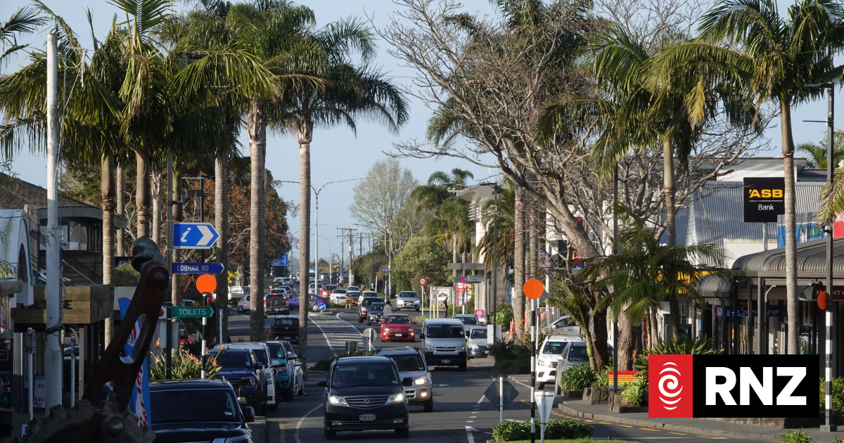 Air New Zealand considering setting up aviation engineering school in Northland, MP says