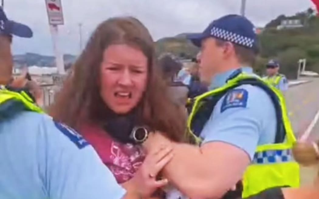 Police arrested pro-Palestine protesters, and accused the group of blocking traffic in Lyttelton, on 6 February, 2024.