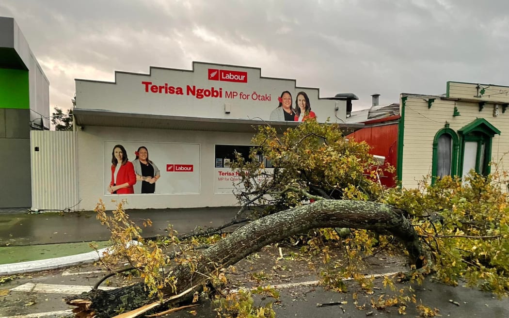 A tree on the ground in front of a Labour MPs office.