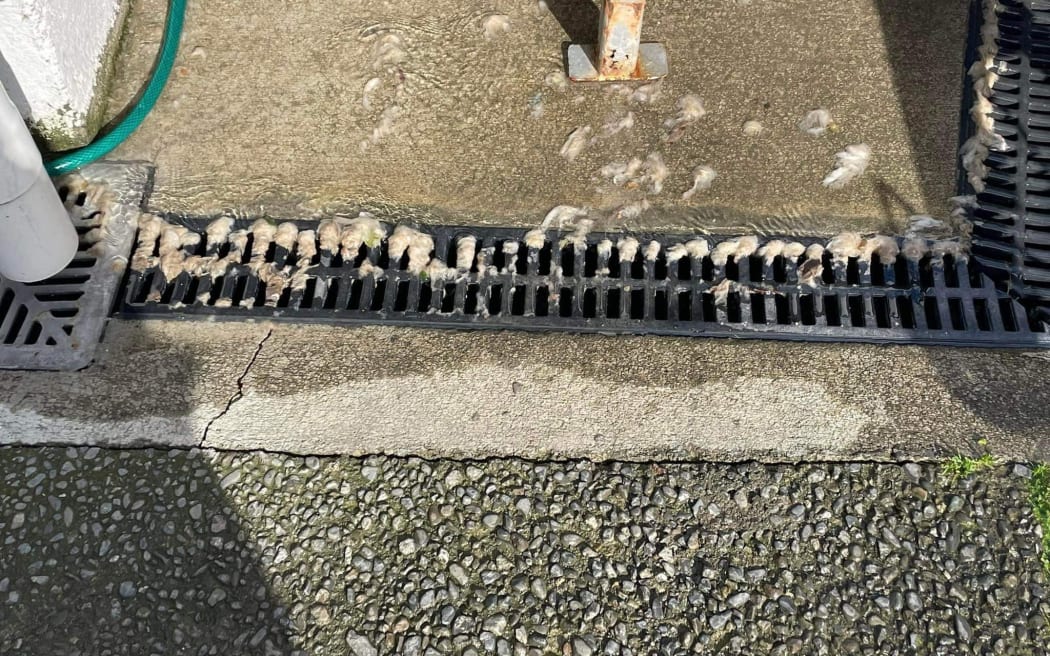Wastewater and sewage pooling in Cockburn St backyards in Masterton.