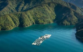 Salmon Farm