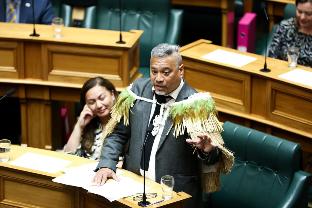 Green MP Teanau Tuiono give his maiden speech at Parliament