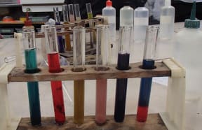 In this classroom science experiment Year 10 students liquified different colour flowers, and then added acids and bases to the test tubes to observe what happened to the colour.