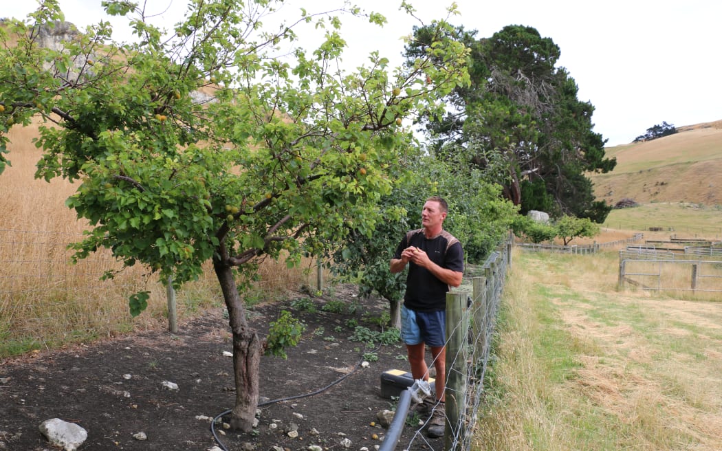 Ian Knowles has more than sheep and cattle on his North Canterbury farm