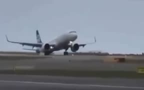 The tail of a plane appeared to hit the runway upon arrival in Wellington in strong winds, but that was not the case, Air New Zealand said.