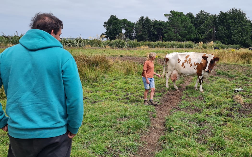 Dairy farm training programme