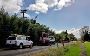 Vector and Treescape crews working on a blacked out Whenuapai Road this morning.