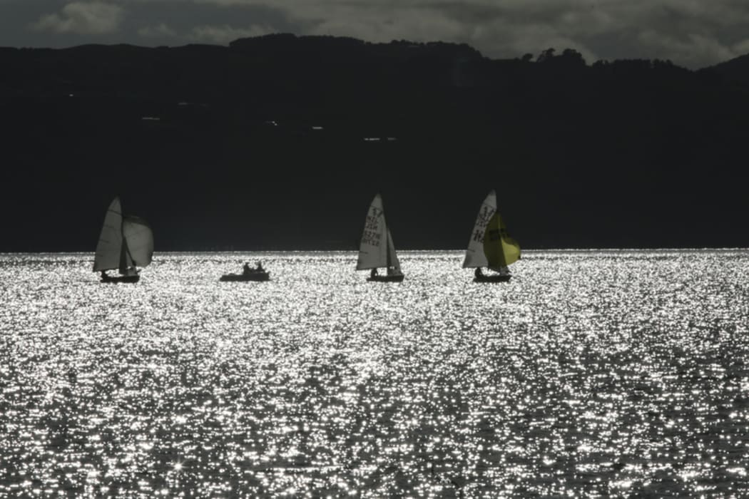 Wellington Harbour