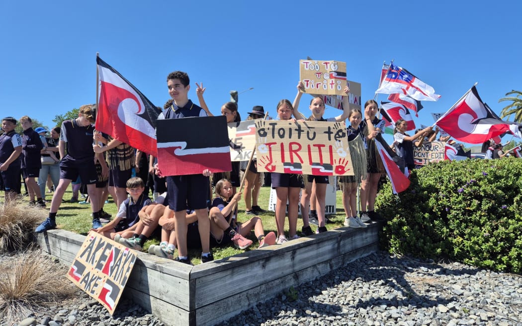 South Island hikoi reaches Blenheim