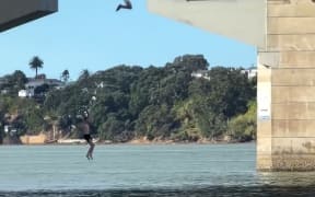 Video has emerged of two people jumping off the Auckland Harbour Bridge.