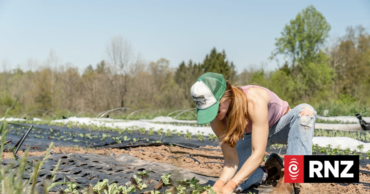 New survey seeks to fill 'knowledge gap' in rural women's wellbeing