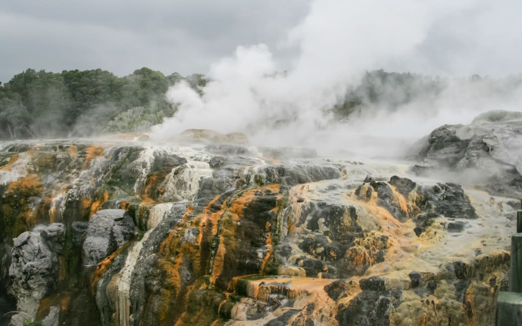 New Zealand steam geysers. New Zealand landscapes