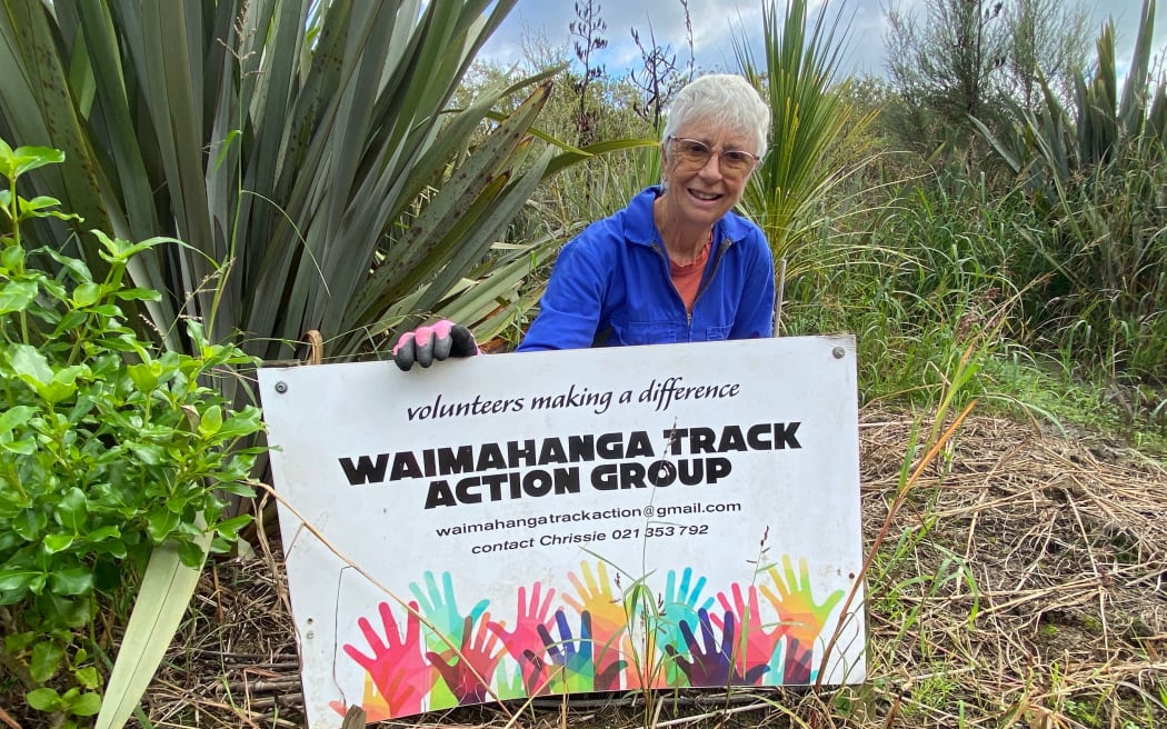 Boosting the native ecosystem along Onerahi’s Waimanga Track is the mission of Waimahanga Track Action Group says leader Chrissie Stephenson
