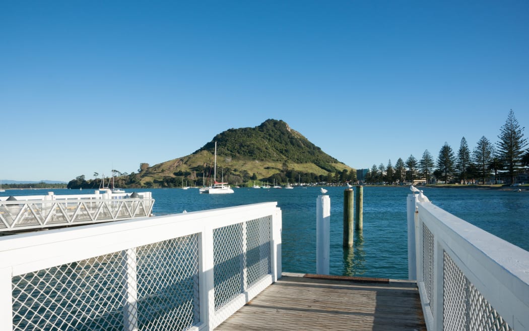 13192311 - pier at pilot bay, mount maunganui