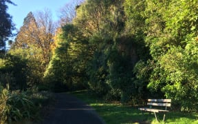 Urban green space comes in many forms - parks, gardens, town belts and bush remnants
