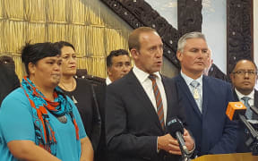 Labour Party leader Andrew Little makes the announcement.