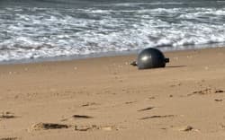 Space balls on Australian beach