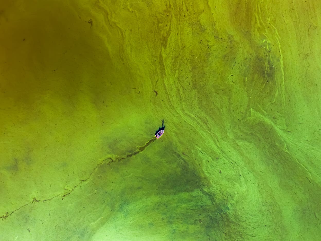 The best photos of scientists at work | RNZ