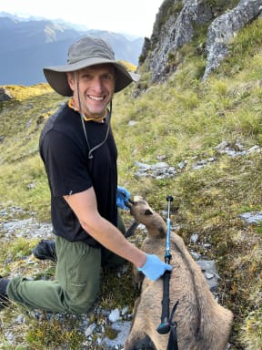 A man wearing a t-shirt, khaki pants and a wide-brimmed hat kneels on a rocky, glassy slope nest to a dead chamois carcass. He is wearing blue gloves and holding his walking pole along the length of the carcass while smiling at the camera. Steep mountains are visible in the background.