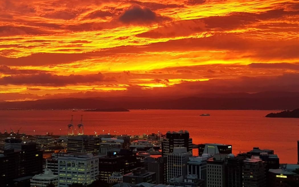 Sunrise Wellington