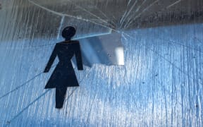 Jan Logie's Domestic Violence Victims' Protection Bill aims to make work a safe place for victims of domestic violence at work
