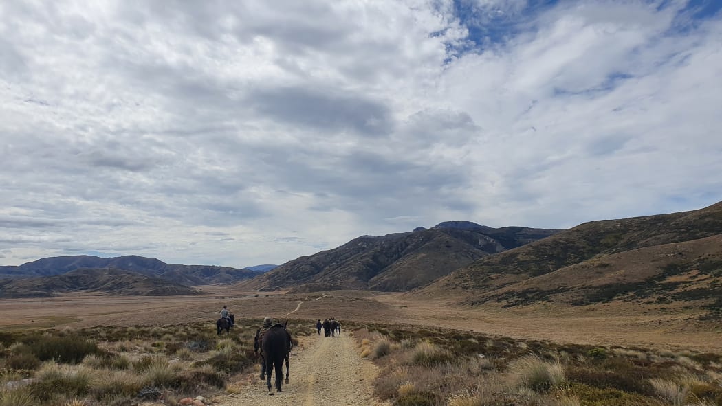 On the trail