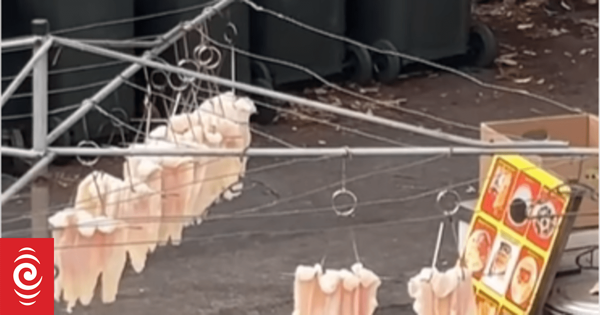 Auckland eatery denies hanging fish on a washing line, slapped with D food grade