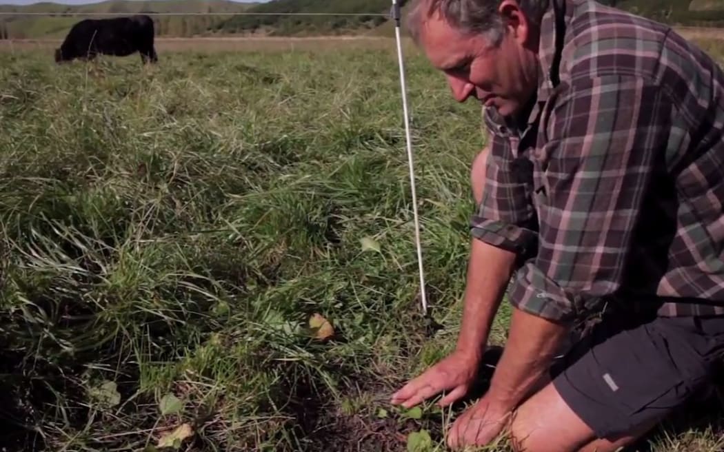 Greg Hart on his Hawke's Bay farm.