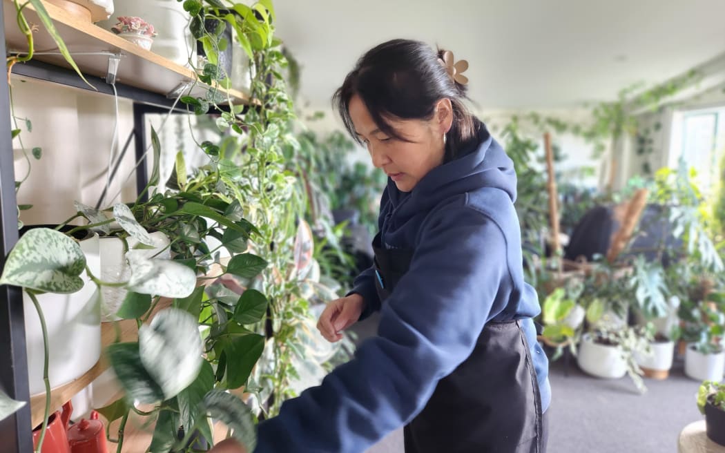 Kali's home  is filled with indoor plants. Her passion for growing them led to the business growing microgreens