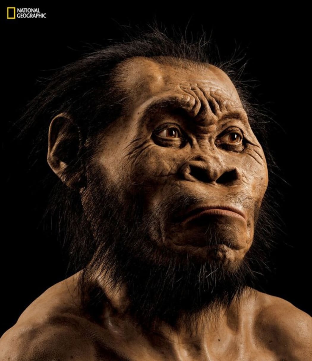 A reconstruction of a Homo naledi face, from the March 2015 National Geographic.