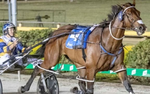 Australian owned Cruz Bromac has won the New Zealand Trotting Cup.