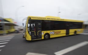 Tauranga bus - single use only