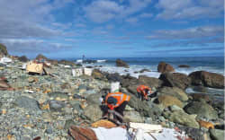 The cleanup of the debris from the FV Mako at the remote Cascade Bay, south of Jackson Bay. About 32 tonnes of debris plus thousands of litres of fuel spilled into the area after the fishing boat ran aground in March.