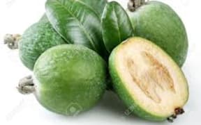 feijoas