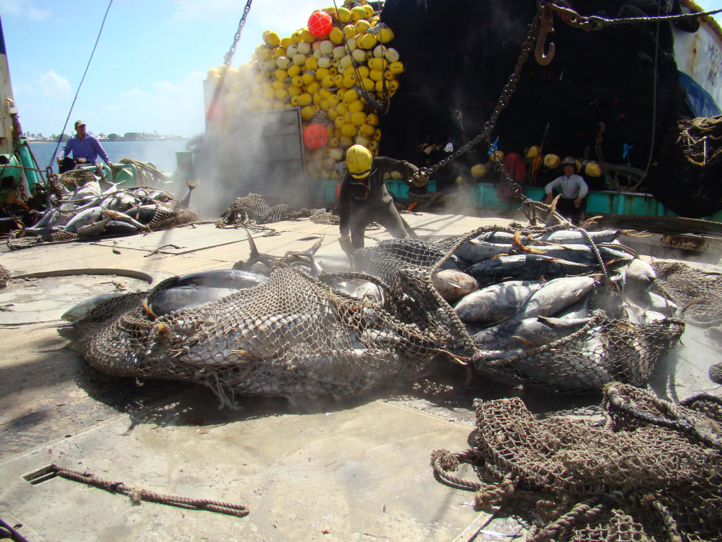 tuna on the deck of a Pacific fishing vessel